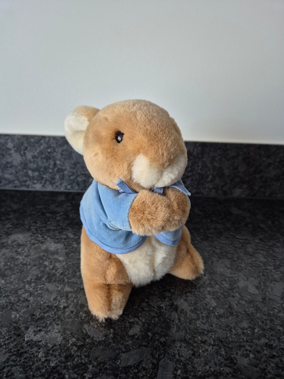 EDEN - Knuffel Konijn Peter Rabbit, Ophalen of Verzenden, Zo goed als nieuw, Stoffen beer, Overige merken