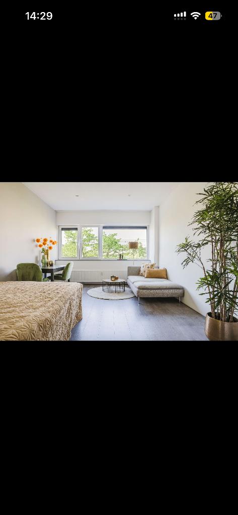Studio / Kamer  te huur Amsterdam zuid, 20 tot 35 m², Amsterdam