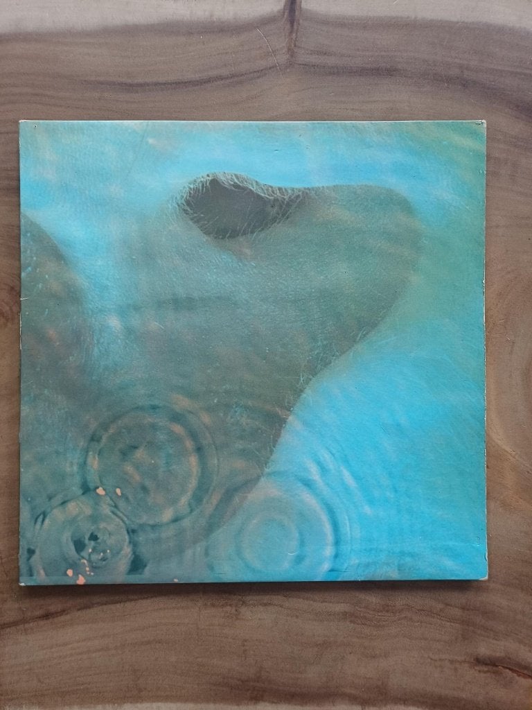Pink Floyd - Meddle - Vinyl, Cd's en Dvd's, Ophalen, Gebruikt, 12 inch