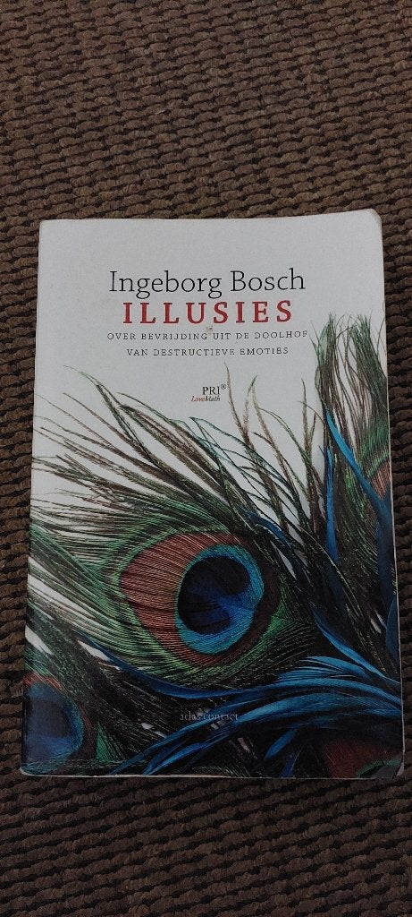 Illusies van Ingeborg Bosch, Gelezen, Ophalen of Verzenden, Ingeborg Bosch, Cognitieve psychologie