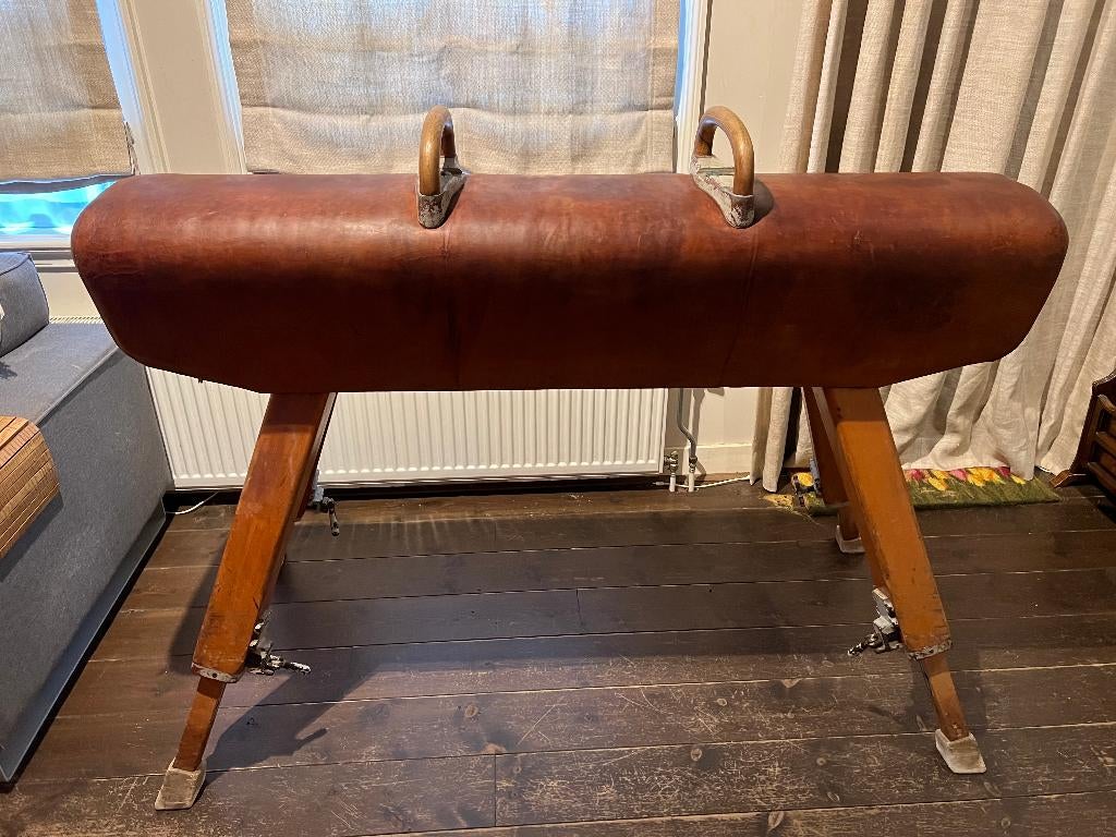 Turnpaard, vintage, retro, turn paard bok, prachtig oud leer, Ophalen