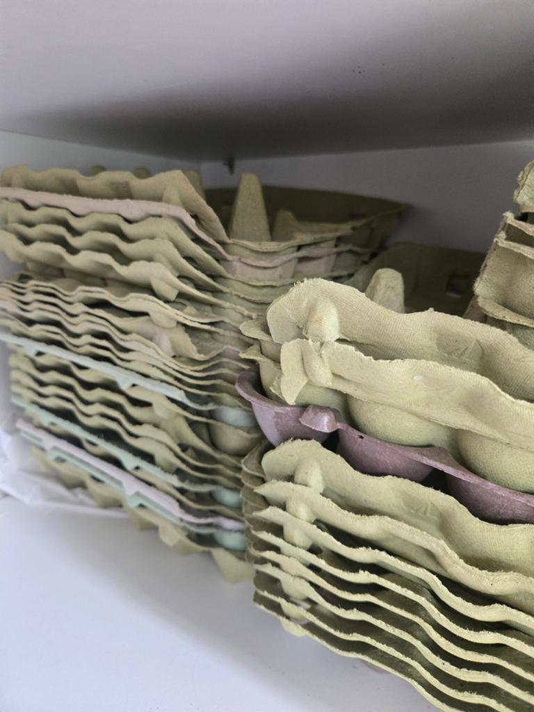 Gratis op te halen, eierdozen 10 eieren en 6 eieren, Ophalen