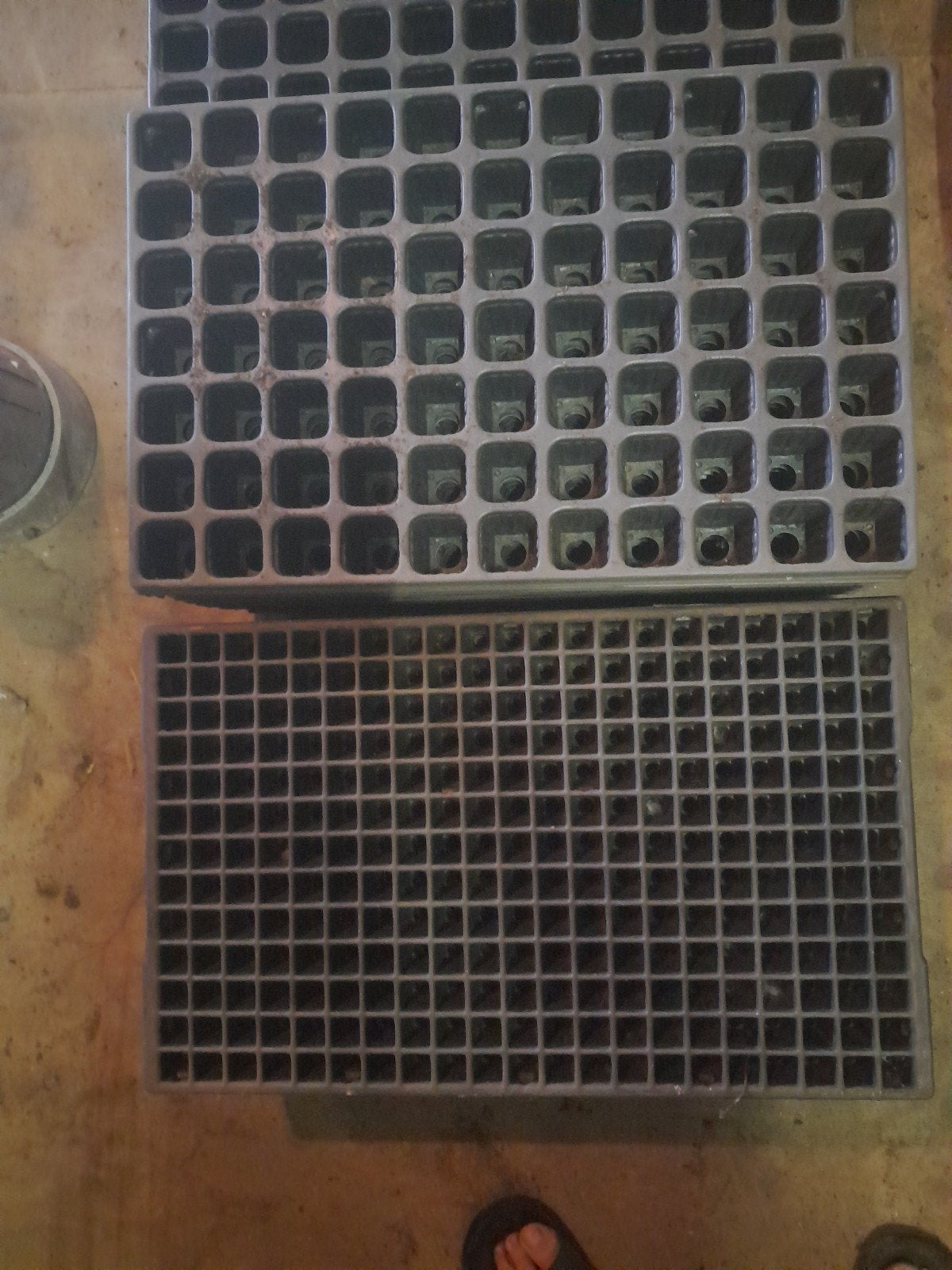 Kweektrays / Zaaitrays voor planten en stekken, Ophalen, Gebruikt