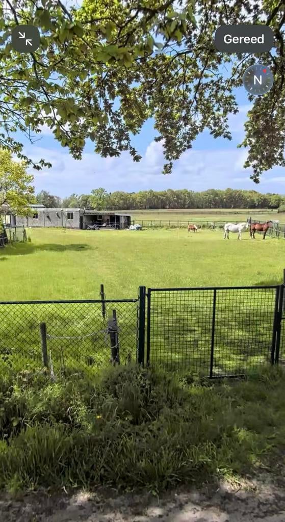 Weide te huur, Dieren en Toebehoren