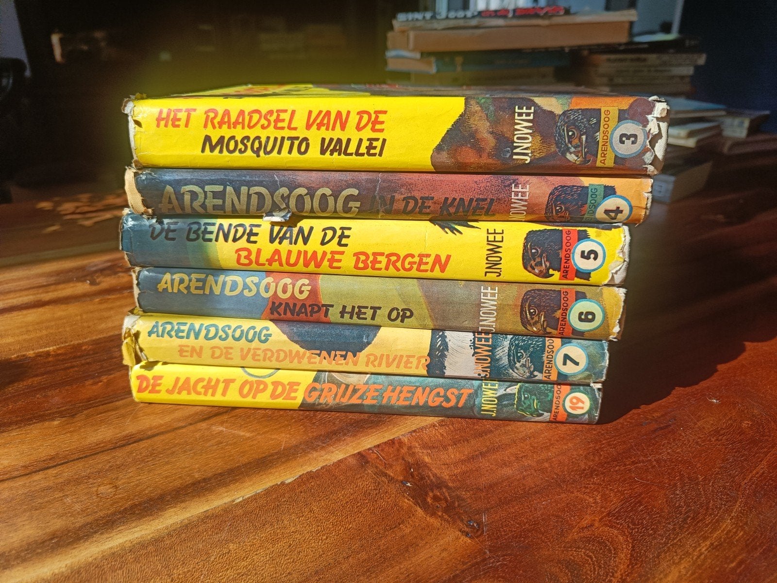 Arendsoog boeken - 6 delen van J. Nowee, Boeken, Ophalen of Verzenden, Gelezen, J. Nowee, Fictie