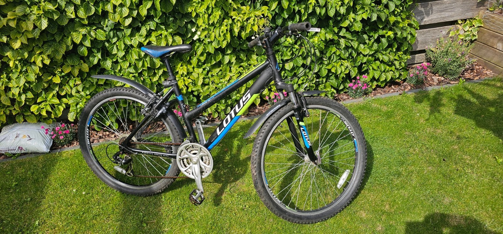 Mountainbike Lotus Alpine, Ophalen, Gebruikt, Overige merken