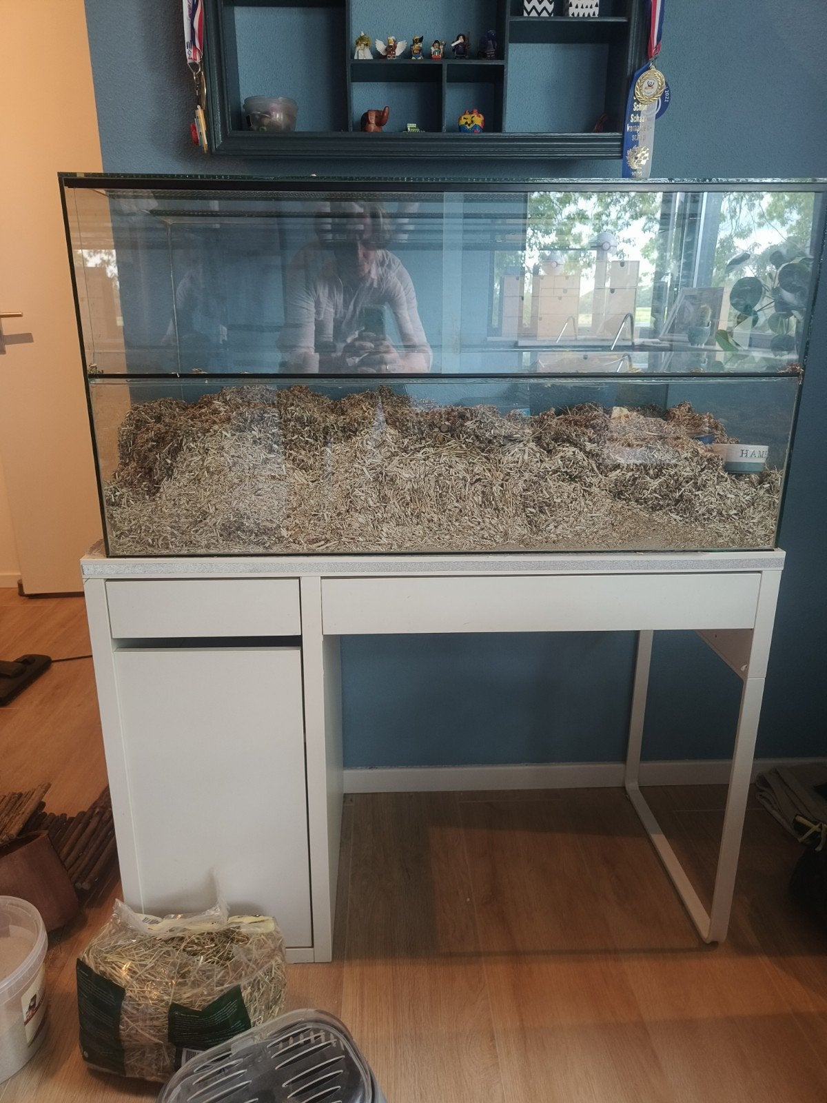 Hamster verblijf van glas, met goudhamster en veel extra 's, Hamster, April, Mannelijk, Tam