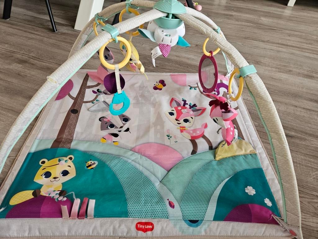 Tiny love babygym., Ophalen, Zo goed als nieuw