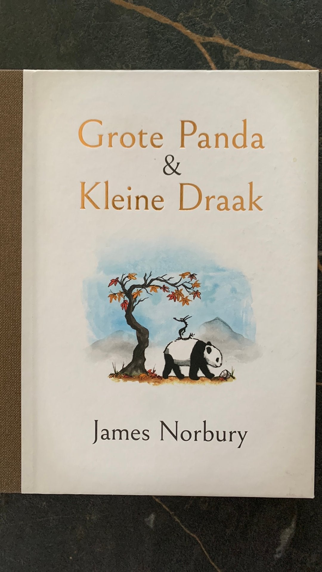 James Norbury - Grote Panda & Kleine Draak, Boeken, Ophalen of Verzenden, Zo goed als nieuw, James Norbury