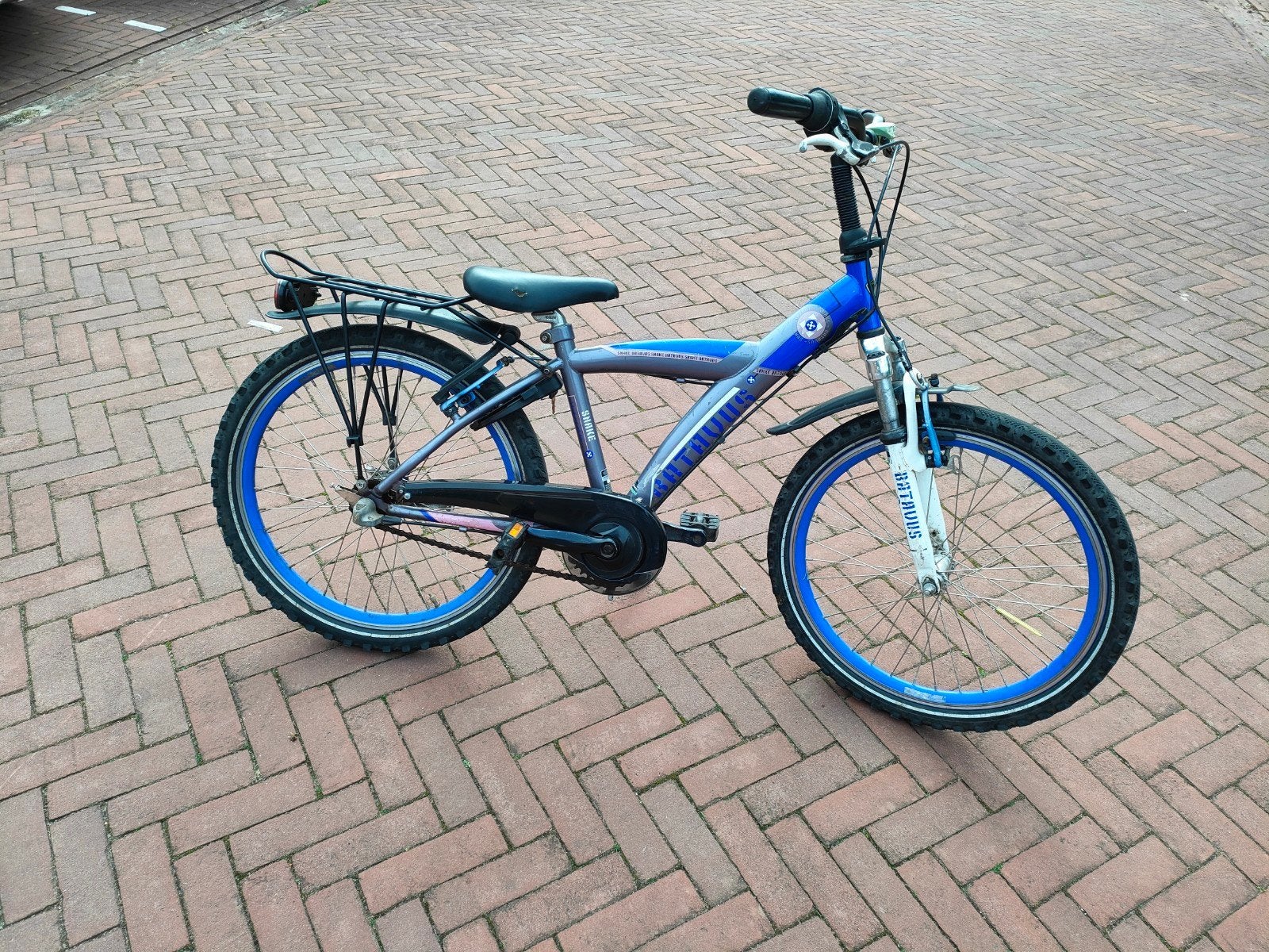 Batavus snake fiets 22 inch met 3 speed, Ophalen, Terugtraprem, 22 inch, Handrem