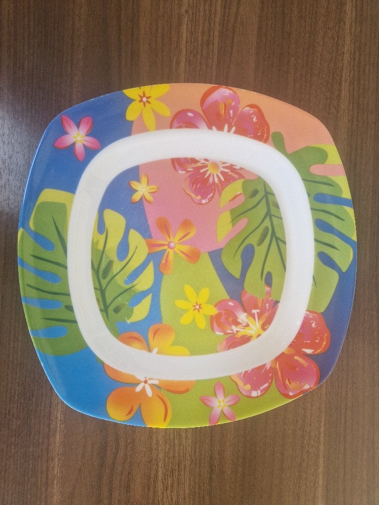 5 leuke borden van melamine, Kunststof, Ophalen of Verzenden, Zo goed als nieuw, Bord(en)