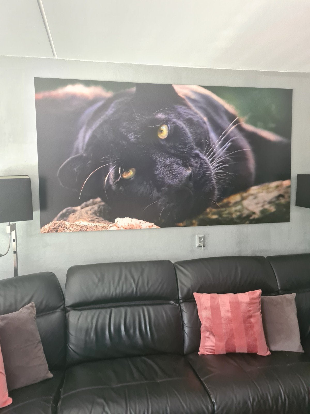 Groote print  Schilderij Zwarte Panter - Indrukwekkend, Ophalen, 125 cm of meer, Zo goed als nieuw, Schilderij
