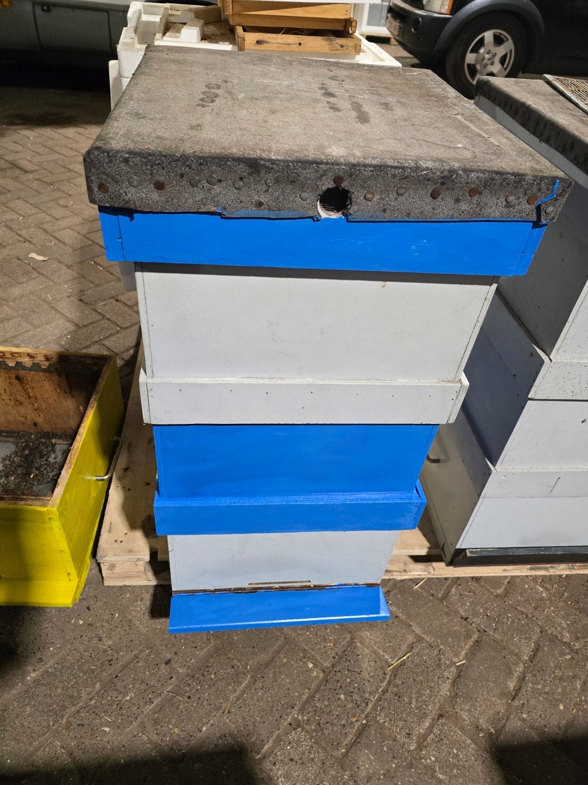 3 bijenkasten simplex, Bijen