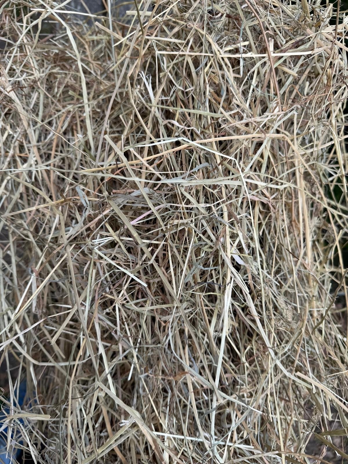 Natuurhooi eerste snede 2026 - 120 balen, Ophalen, Vee
