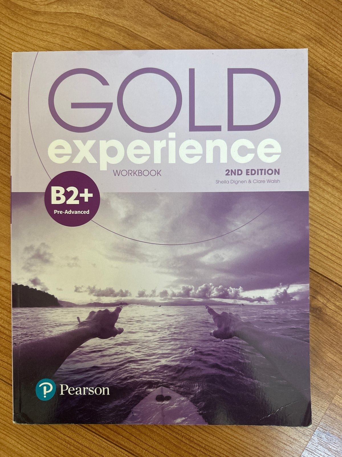 Gold Experience B2+ Workbook 2nd Edition Pearson, Ophalen of Verzenden, Alpha, Zo goed als nieuw, HBO