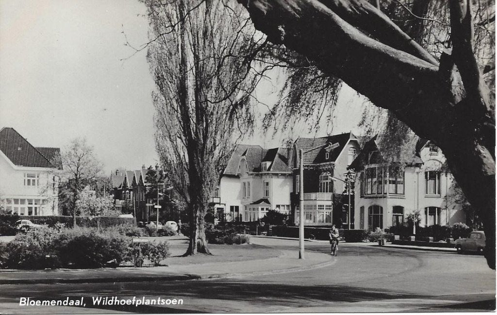 Bloemendaal (N.H.) Wildhoefplantsoen, Straatgezicht, 1963, Ophalen of Verzenden, 1960 tot 1980, Ongelopen, Noord-Holland