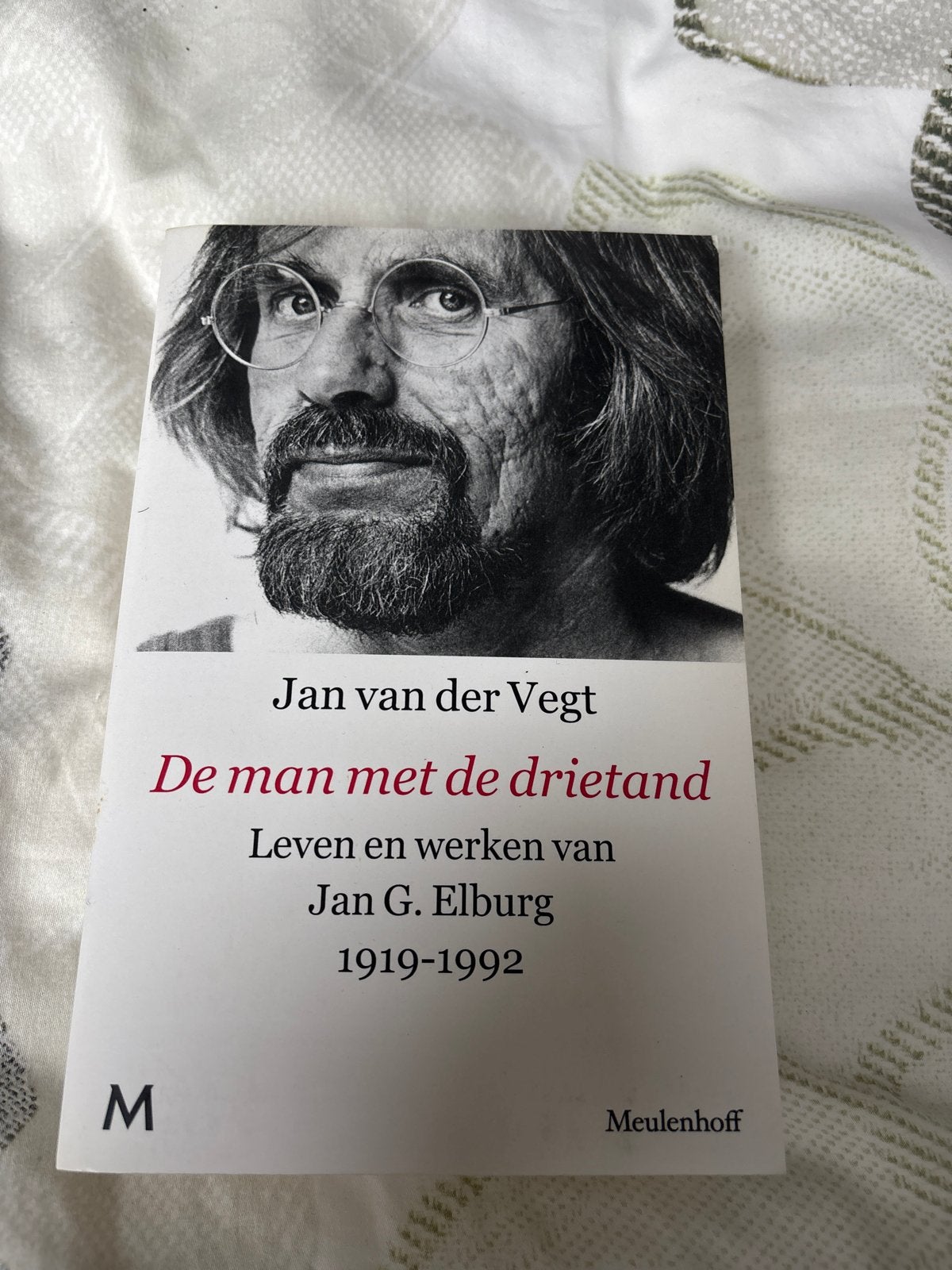 De man met de drietand - Leven en werken van Jan G. Elburg, Ophalen of Verzenden, Zo goed als nieuw, Kunst en Cultuur
