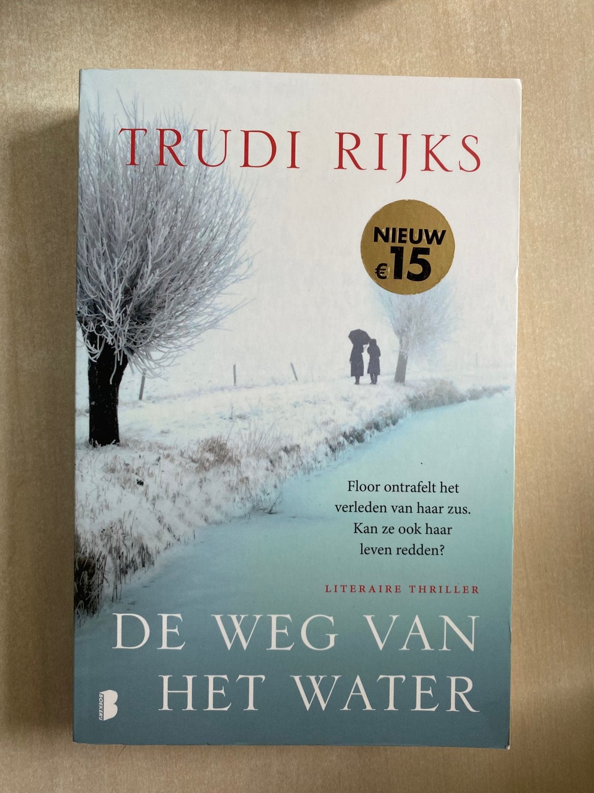 De weg van het water (Trudi Rijks), Ophalen of Verzenden, Zo goed als nieuw