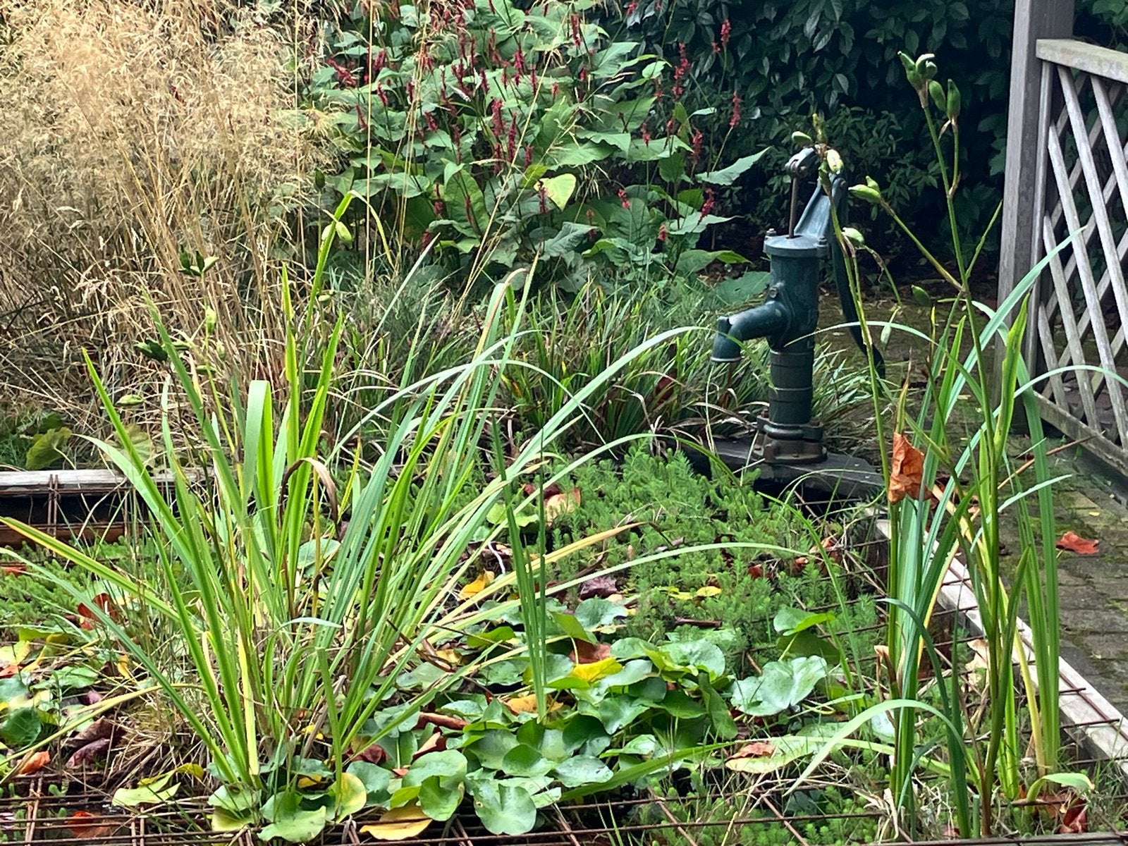 Oude gietijzeren waterpomp voor vijverdecoratie, Ophalen, Gebruikt