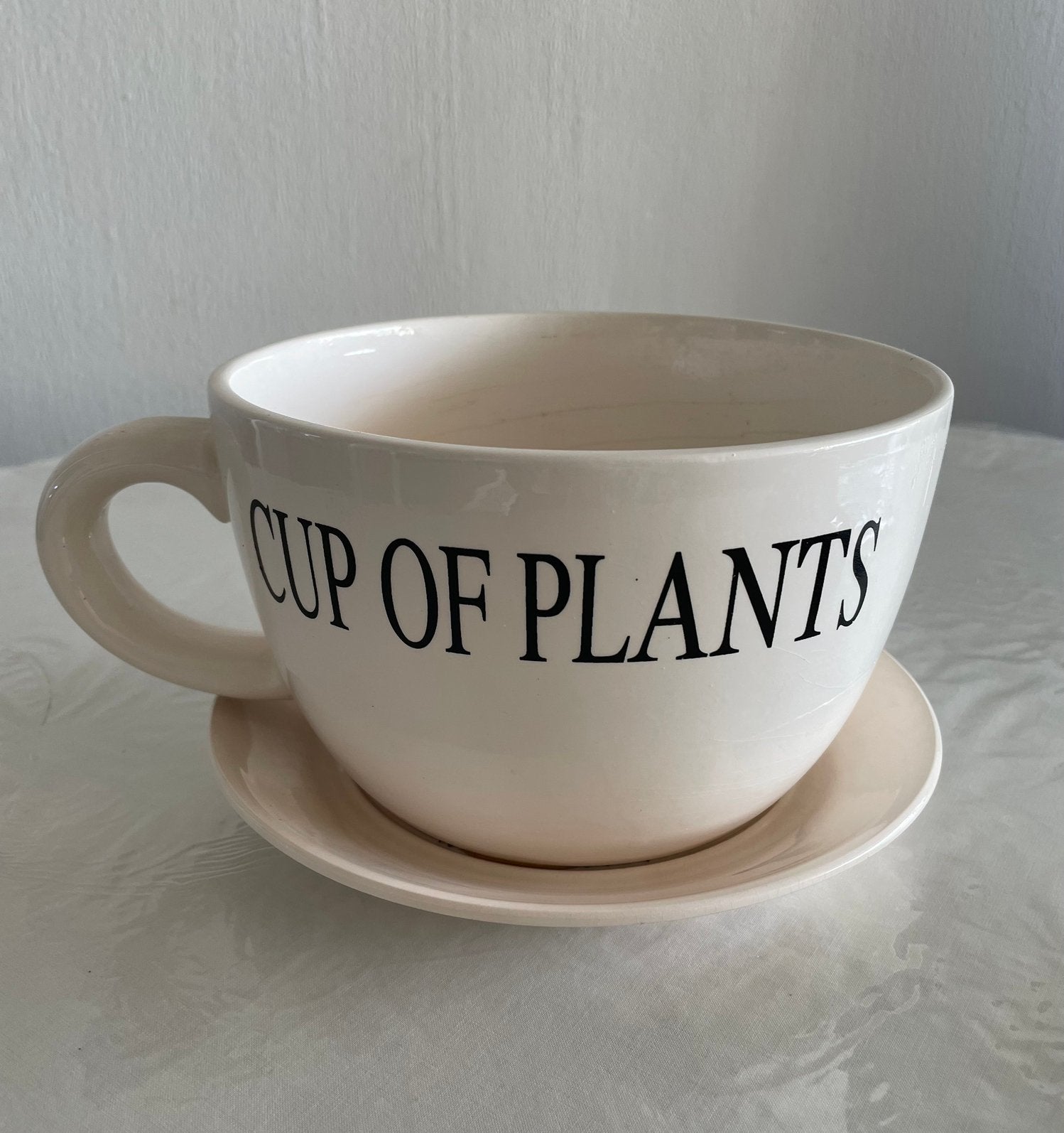 Grote theekop bloempot met schotel - "Cup of Plants", Gebruikt, Rond, Binnen, Minder dan 40 cm