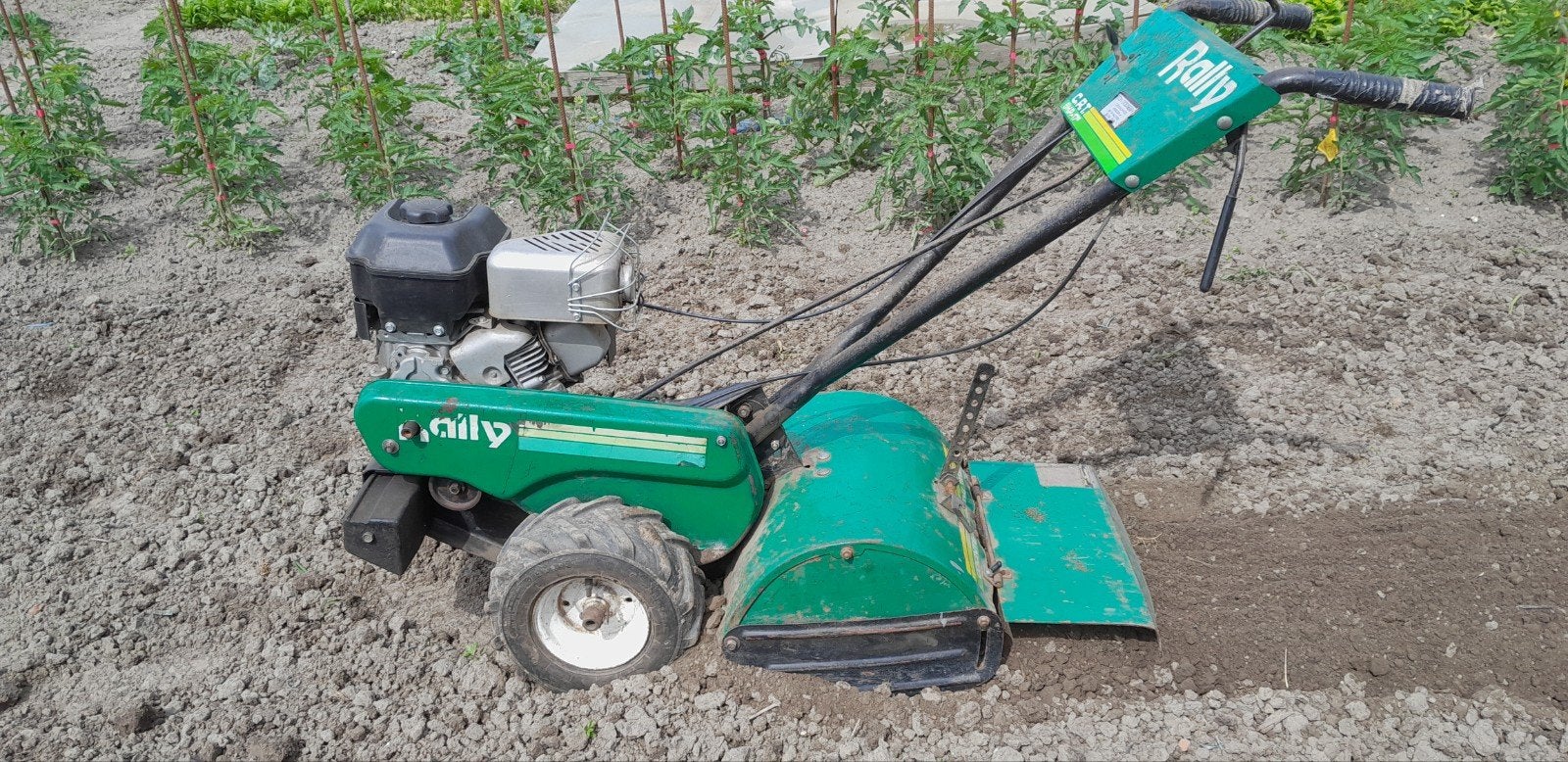 Rally tuinfrees, Ophalen, Gebruikt, 50 cm of meer