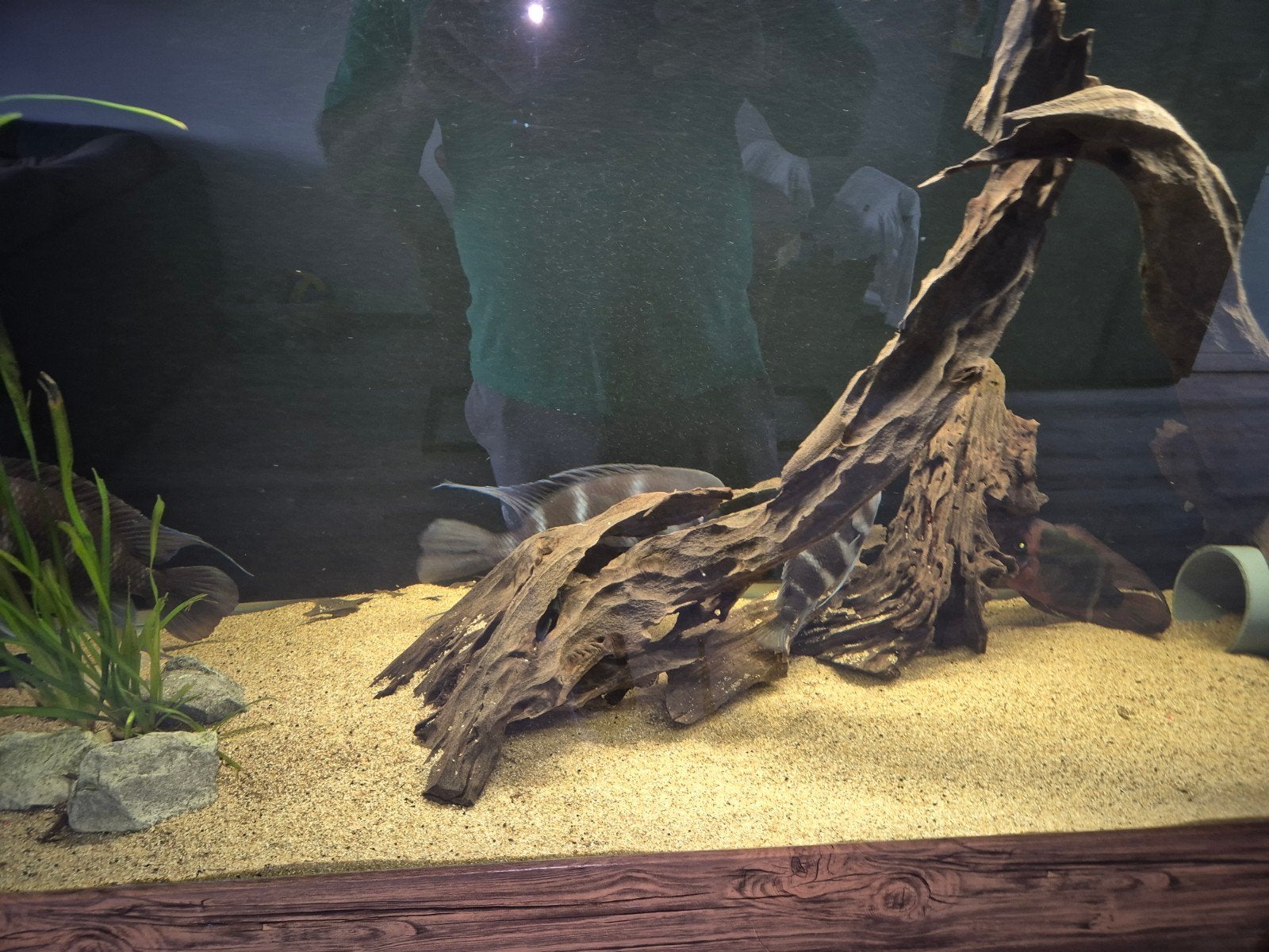 aquarium Te Koop, Dieren en Toebehoren, Gebruikt, Inclusief controller, Overige typen, Overige merken