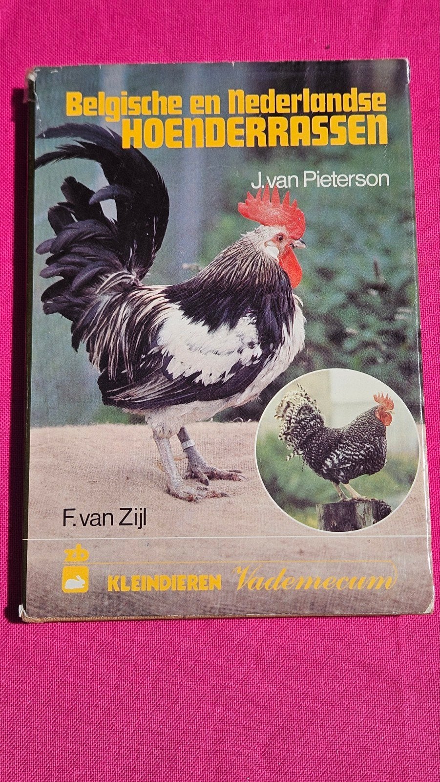 Belgische en Nederlandse hoenderrassen, Ophalen of Verzenden, Zo goed als nieuw, Honden