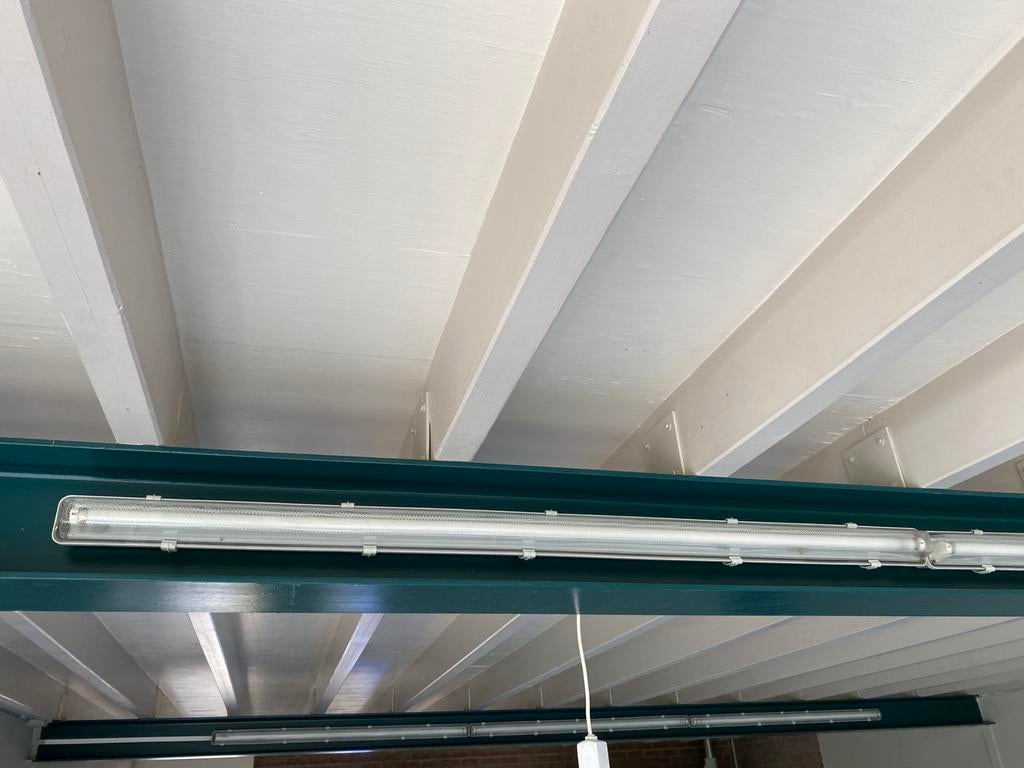 TL lampen 12 stuks, Ophalen, Zo goed als nieuw, Overige typen