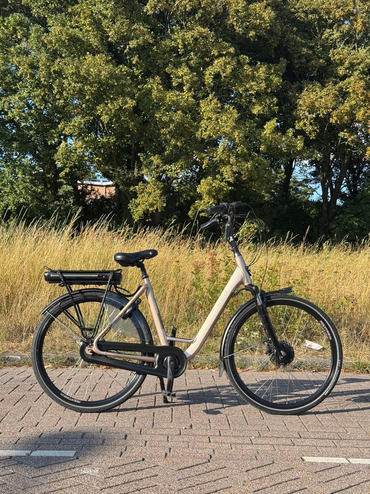 Stella Livorno Dames Elektrische fiets, Ophalen, Zo goed als nieuw