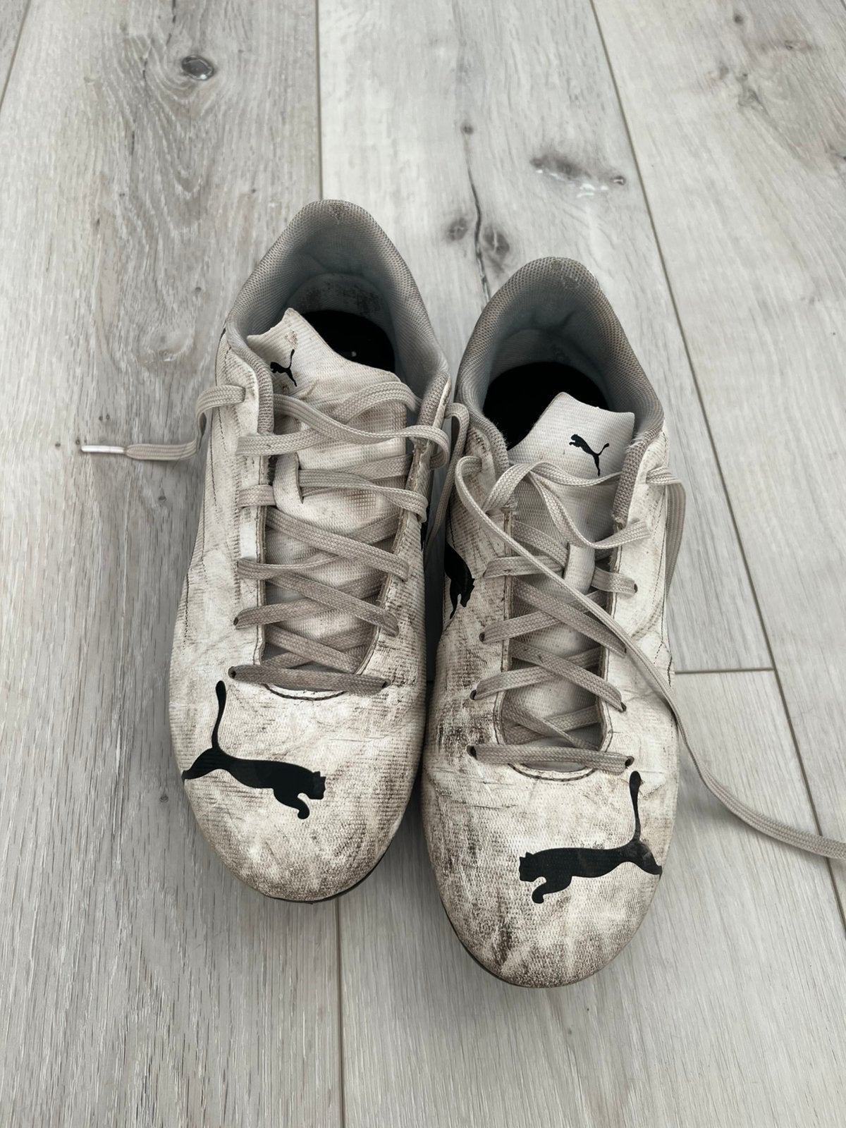 Voetbalschoenen puma maat 39, gratis, Maat XS of kleiner, Ophalen, Gebruikt, Schoenen