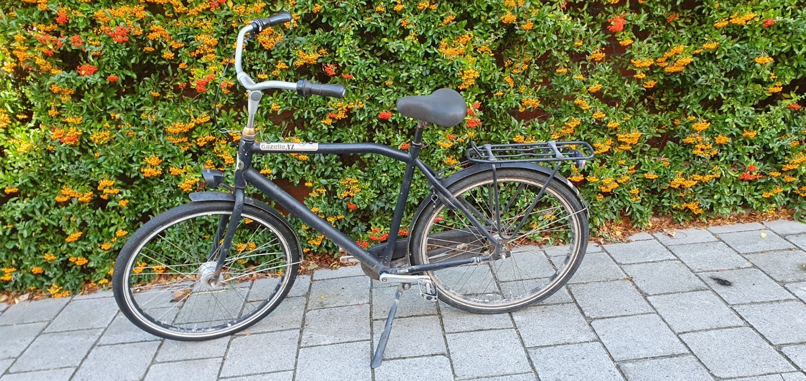 Degelijke Gazelle fiets met terugtraprem en groot frame, Ophalen, Terugtraprem, Gebruikt, 61 tot 65 cm