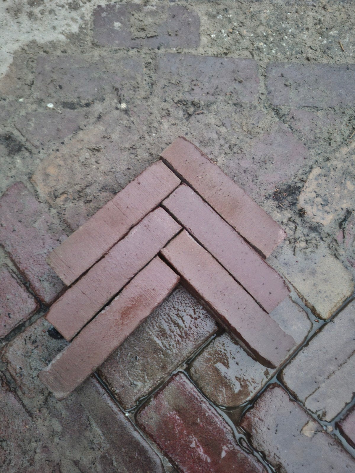 5,5m² gebakken waalformaar 21,5x5cm,  nieuw, op pallet, Ophalen of Verzenden, Nieuw, Beton, Terrastegels