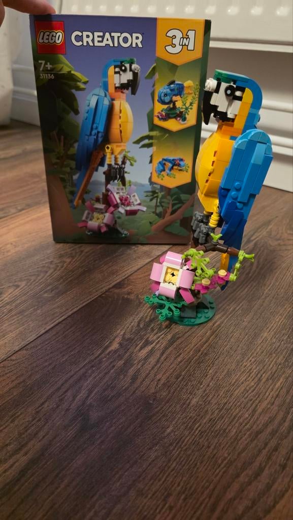 Lego Creator 3in1 Exotische Papegaai 31136, Ophalen, Compleet, Lego, Zo goed als nieuw