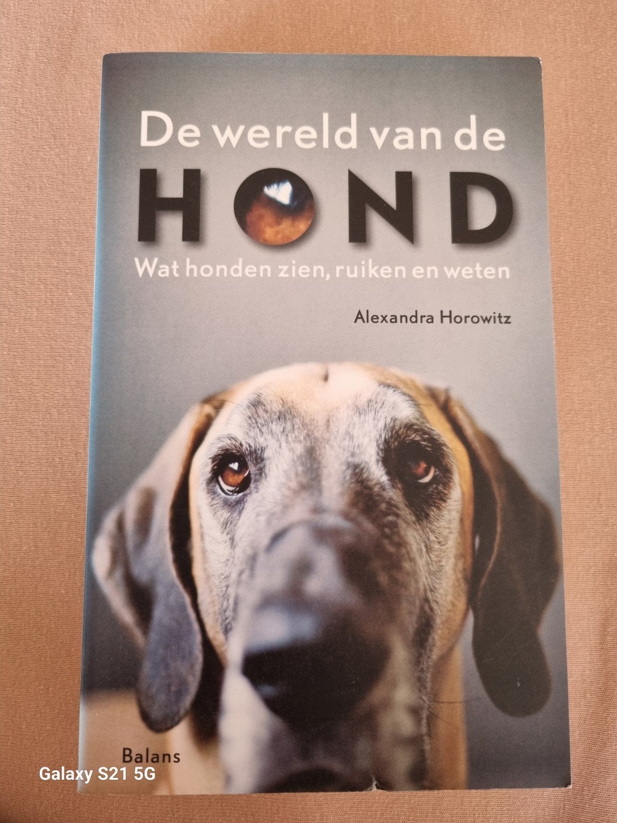 De wereld van de hond - Alexandra Horowitz, Verzenden, Zo goed als nieuw, Honden, Alexandra Horowitz