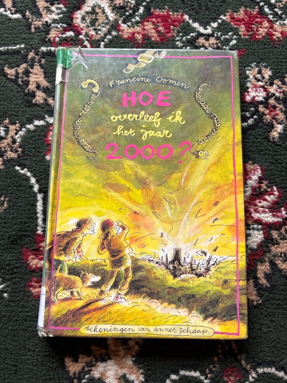 Hoe overleef ik het jaar 2000? - Francine Oomen, Ophalen of Verzenden, Gelezen, Nederland