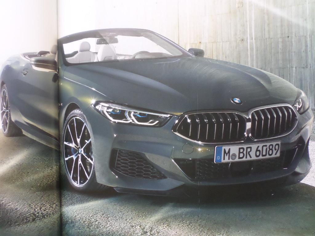 BMW Serie 8 Cabrio Boek, Ophalen of Verzenden, Zo goed als nieuw, BMW