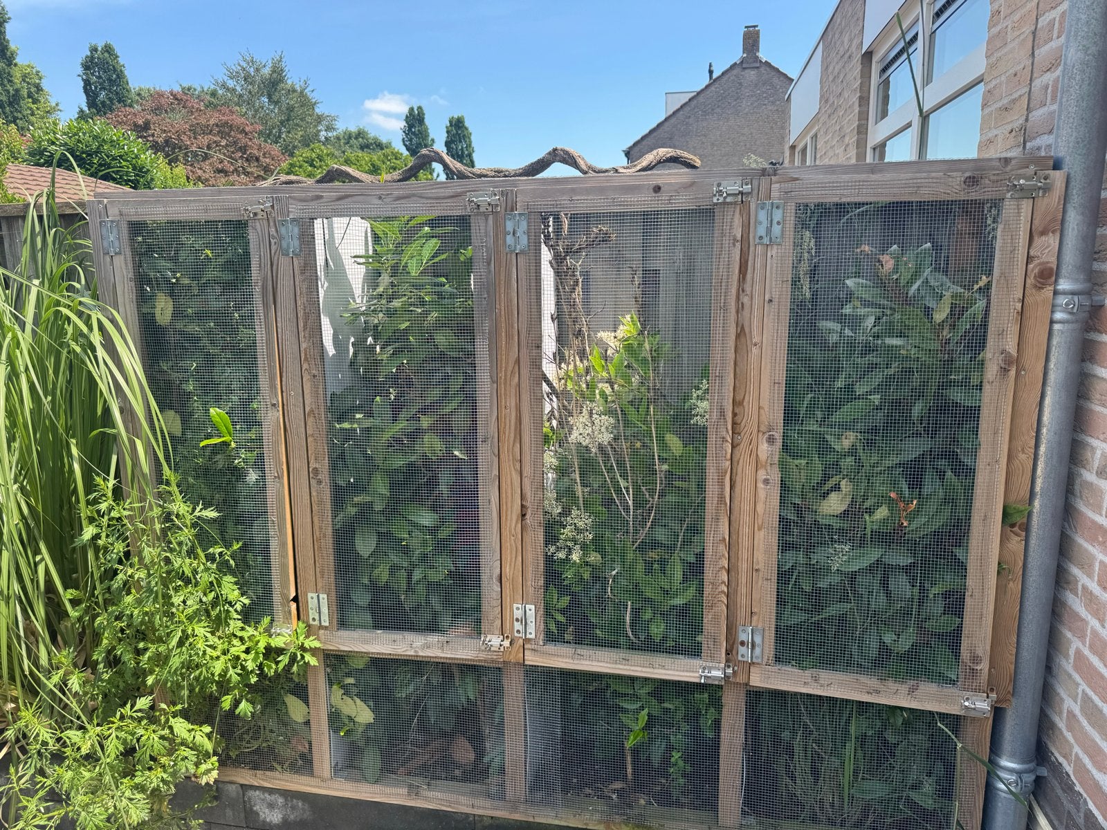 Buiten terrarium van hout, Dieren en Toebehoren, Ophalen