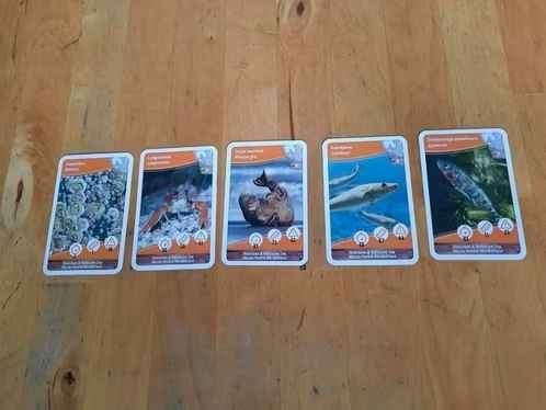 SCHATTEN VAN DE OCEANEN - KAARTJES - zie lijst, Ophalen of Verzenden