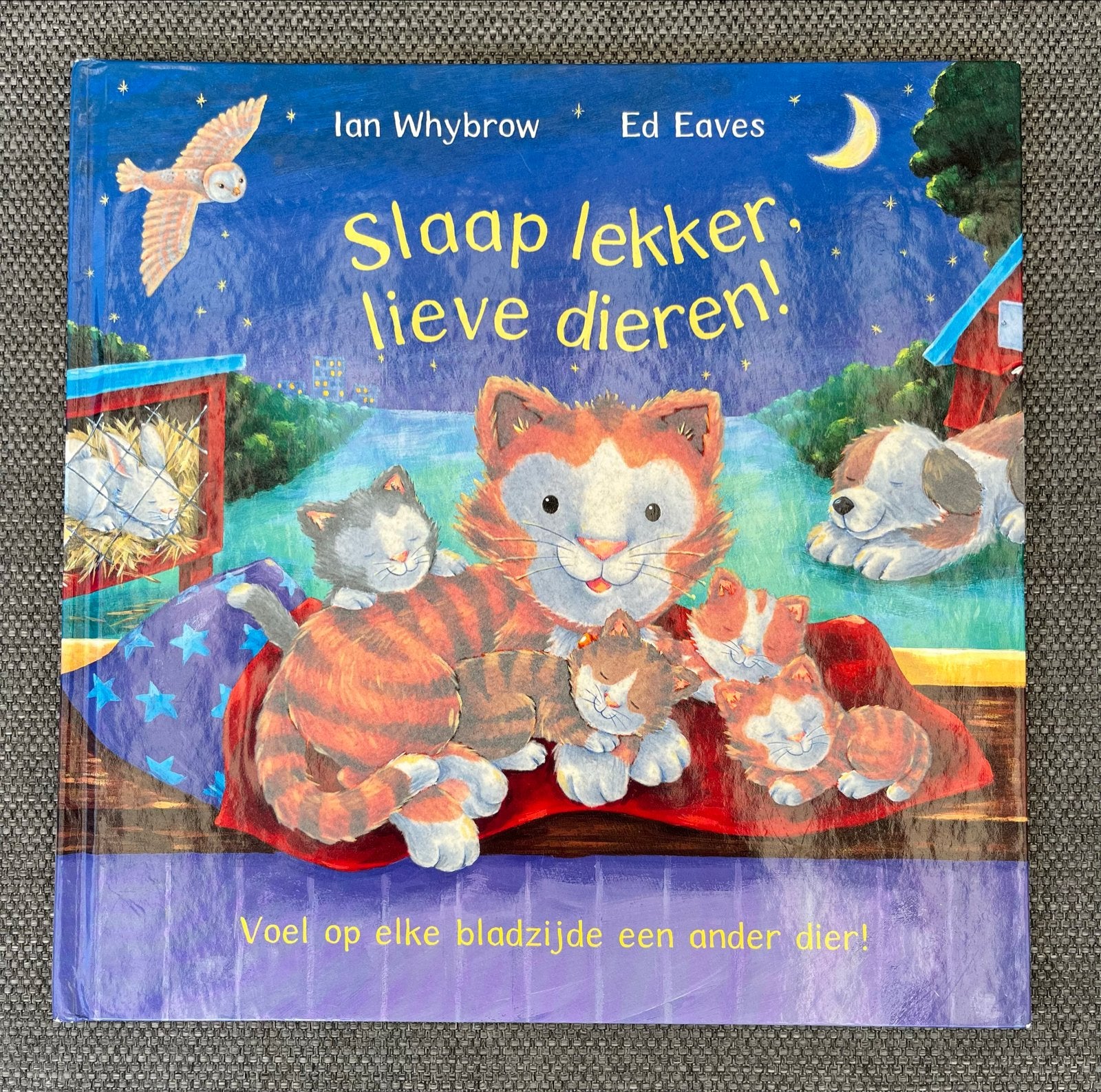 Slaap Lekker, Lieve Dieren! Voelboek, Boeken, Kinderboeken | Baby's en Peuters, Ophalen of Verzenden, Zo goed als nieuw, Uitklap-, Voel- of Ontdekboek