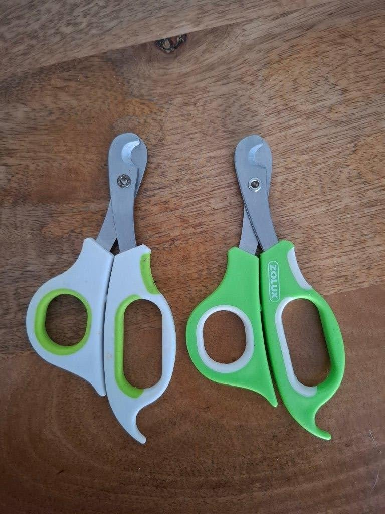 Nagelschaar knaagdier, Ophalen of Verzenden, Gebruikt, Verzorging