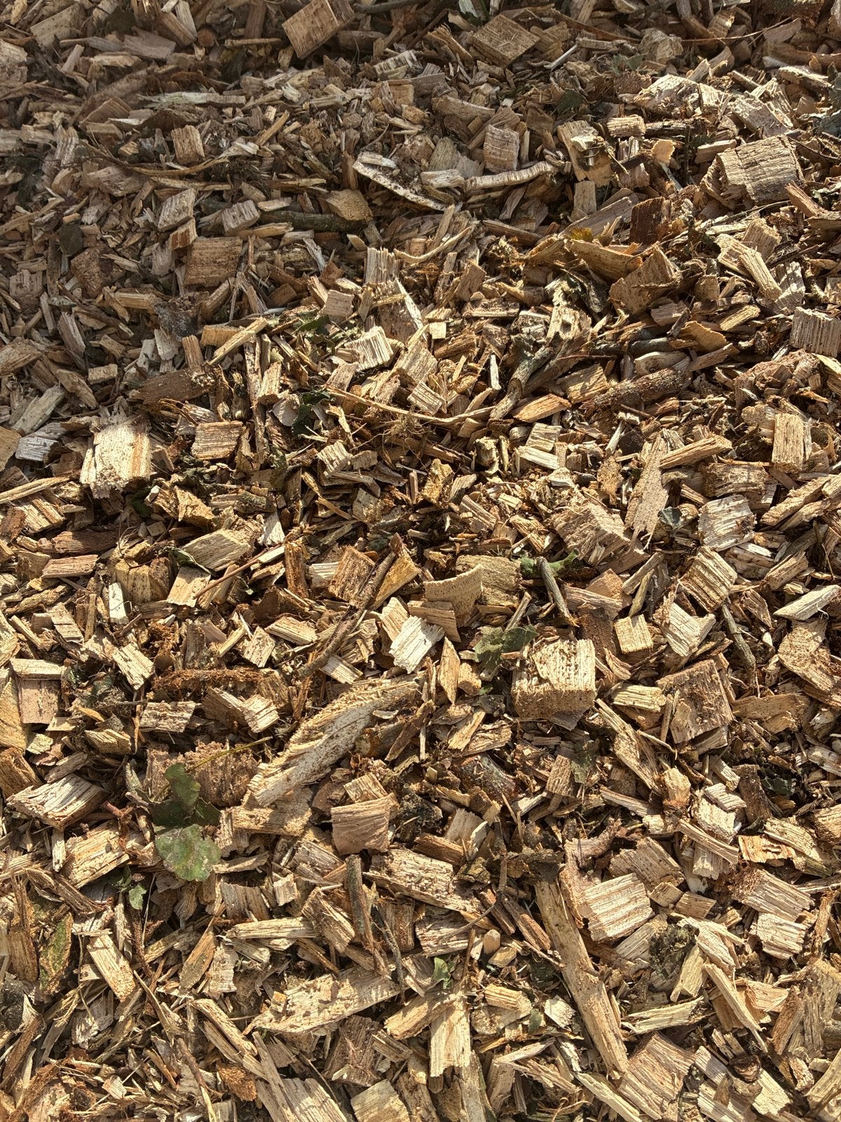 1 m3 Verse houtsnippers voor tuin en paden, Minder dan 3 m³, Ophalen, Overige houtsoorten, Takken