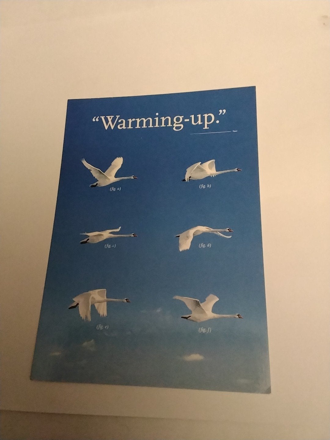 Boomerang kaart KLM "Warming-up" met zwanen, Ophalen of Verzenden, 1980 tot heden, Ongelopen