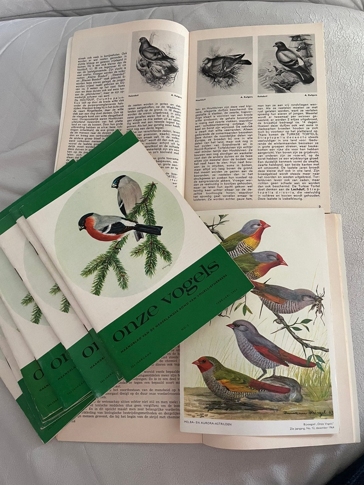Onze Vogels  jaargang 1965, Boeken, Ophalen, Gelezen, Vogels