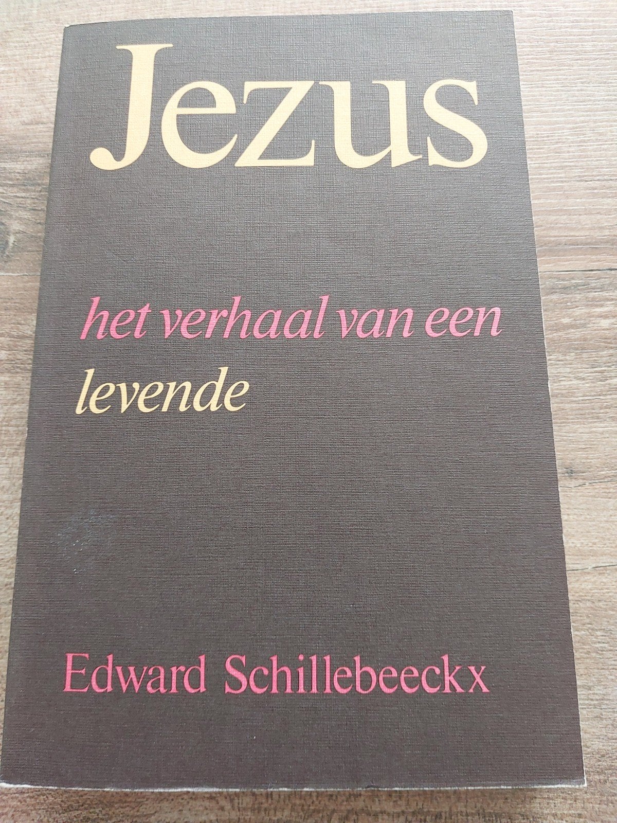 Edward Schillebeeckx- Jezus, Boeken, Ophalen of Verzenden, Gelezen