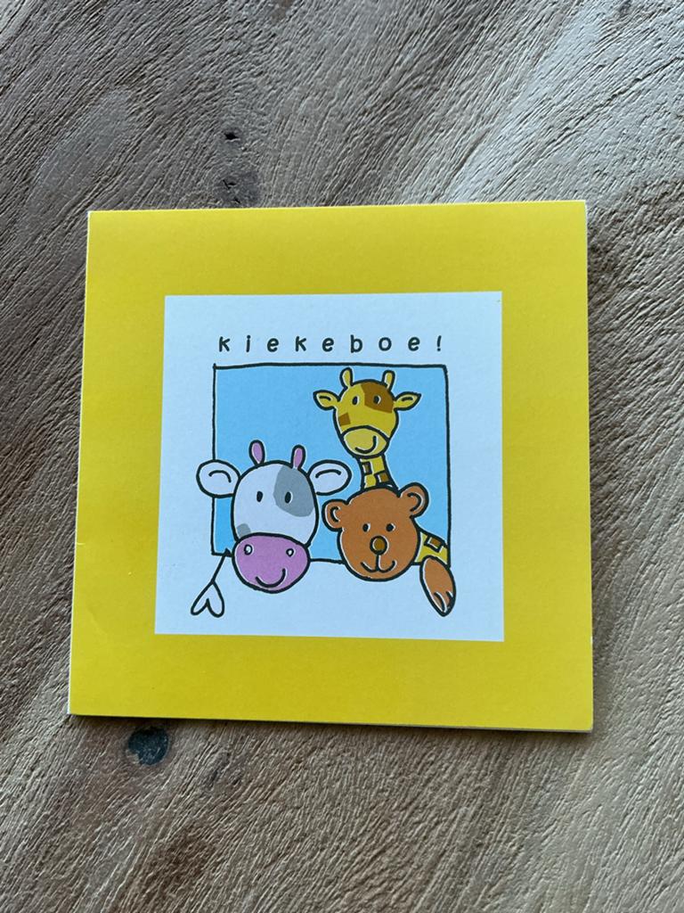 Geboortekaartjes, Verzamelen, Ophalen of Verzenden, 2000 tot heden
