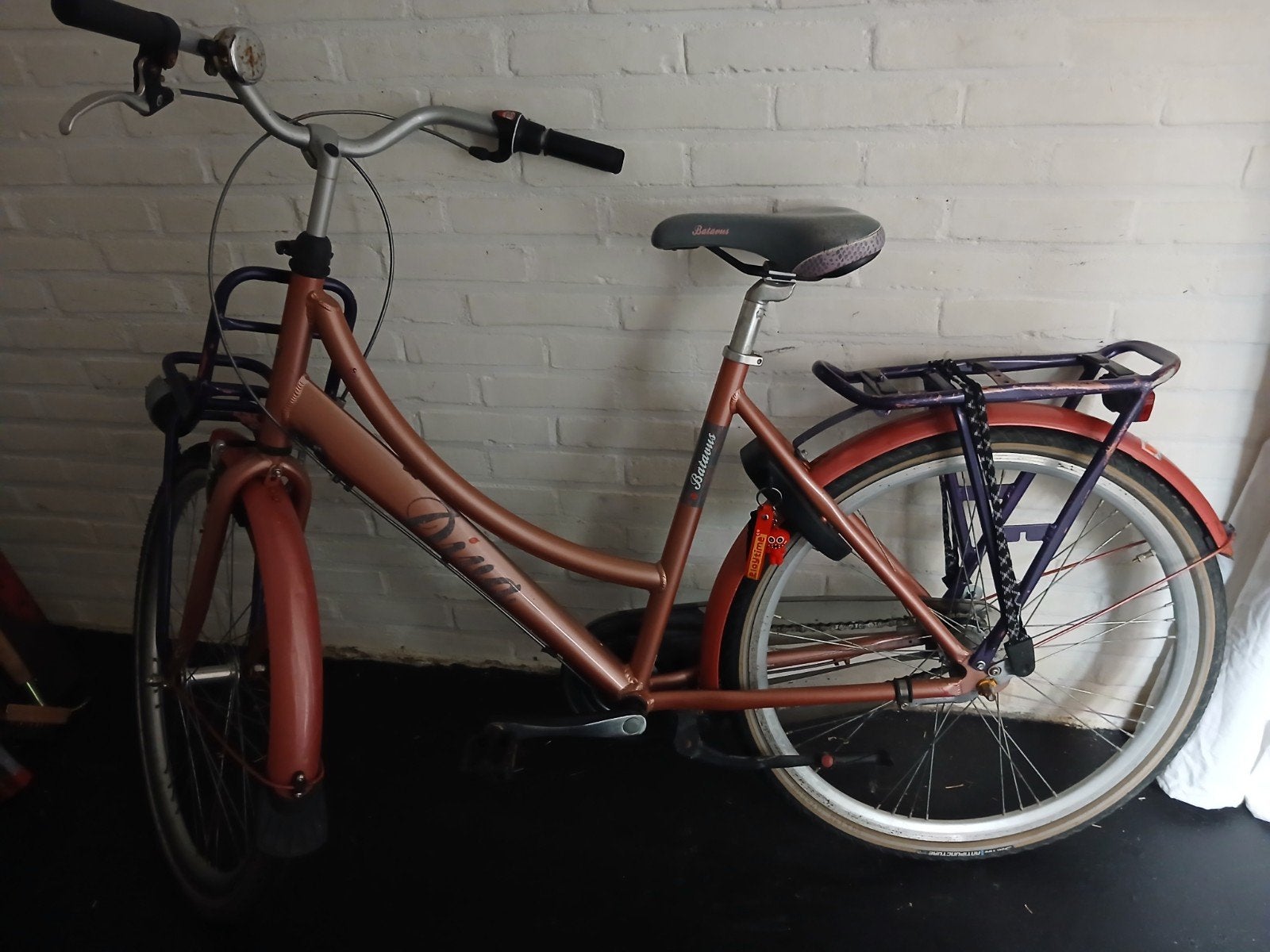 Batavus meisjes fiets, Ophalen of Verzenden, Gebruikt, 24 inch, Handrem