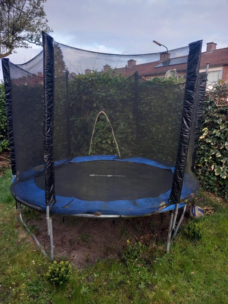 Spring met Pasen net als de paashaas, Ophalen of Verzenden