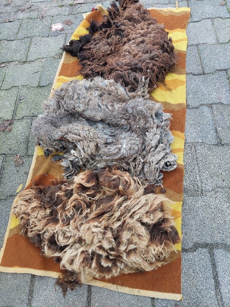 wol OUESSANT   spinnen  vilten, Ophalen, Zo goed als nieuw, Spinwol