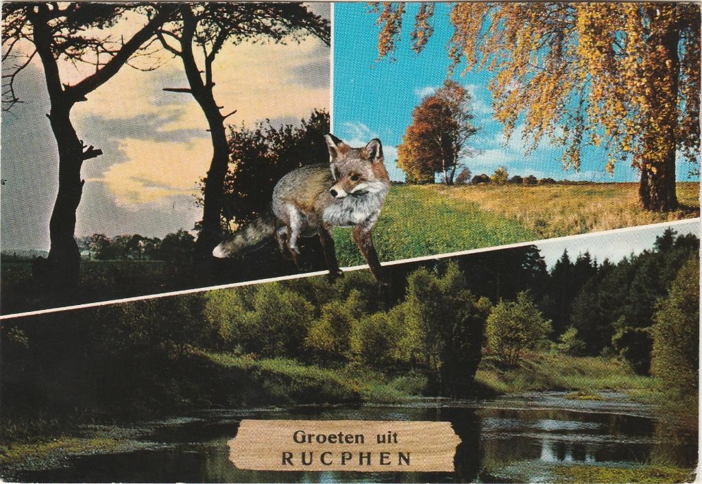 RUCPHEN Bos Vos Vijver Groeten, Verzamelen, Ansichtkaarten | Nederland, Verzenden, 1960 tot 1980, Gelopen, Noord-Brabant
