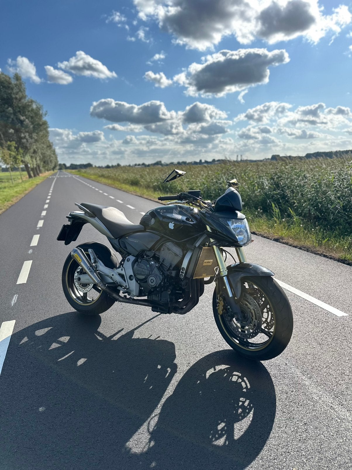 Honda CB600FA Hornet ABS uit 2007, Ophalen